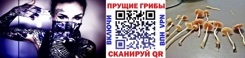 MEGA сайт  Уварово  Галлюциногенные грибы ЛСД 